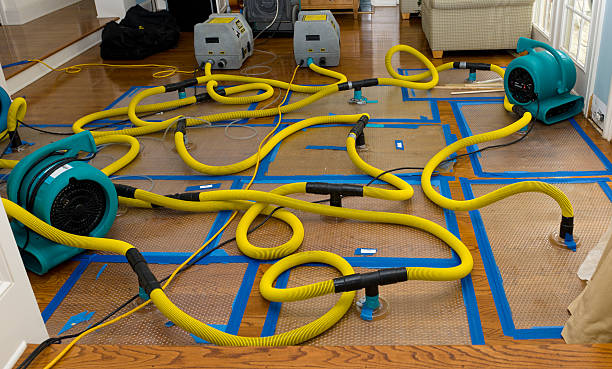 Professional Structural Drying And Dehumidification technician working in Twin Lakes, VA